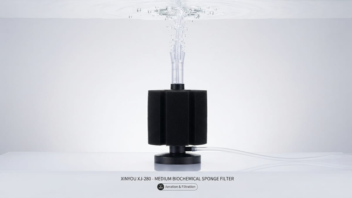 Sponge filter (Medium)