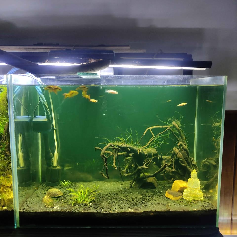 2 x 1 x 1.5FT Aquarium Partial Set