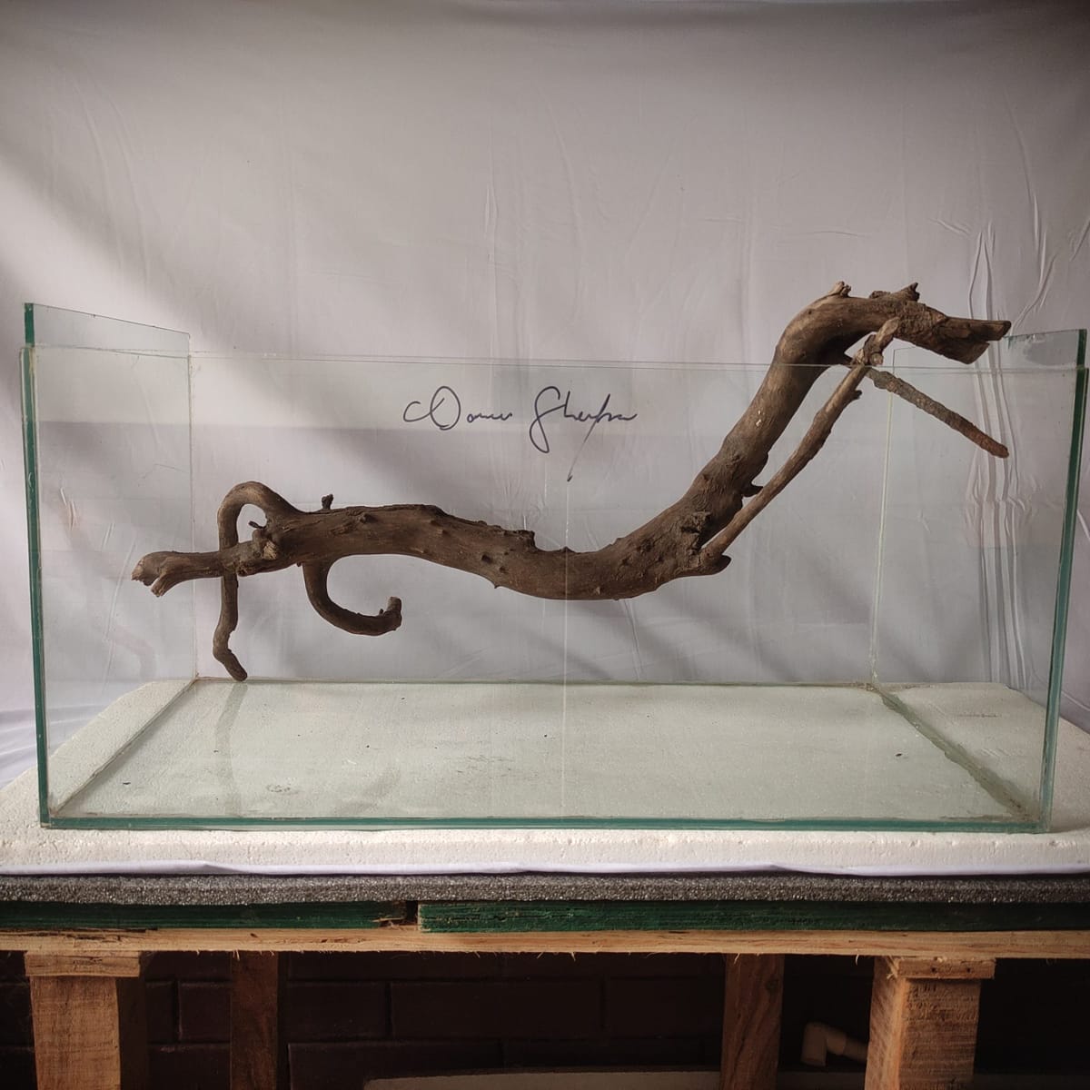 The Dragon's Spine