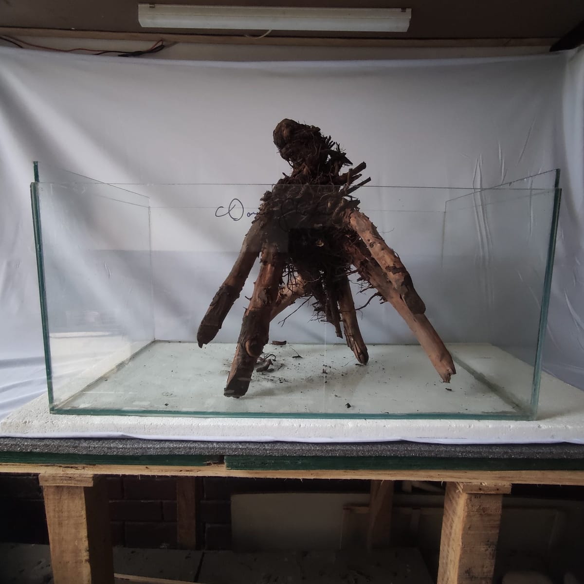 Tripod Stride